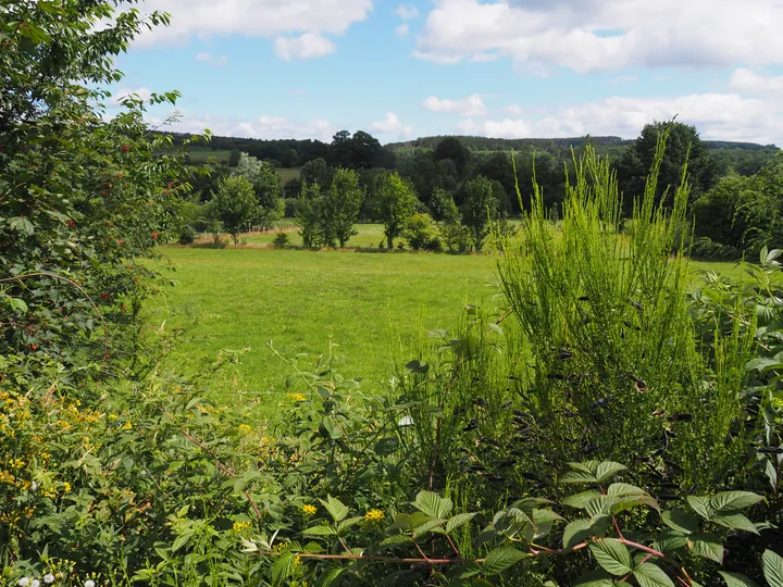 Ferme de la Planche (barefoot path) (België)